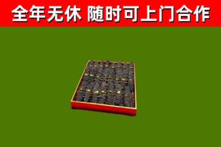 于都县回收海参
